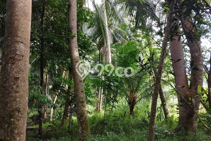 Untuk Dijual Tanah di Ciamis, Luas 1422m2 SHM Untuk Dijual Tanah di Ciamis, Luas 1422m2 SHM