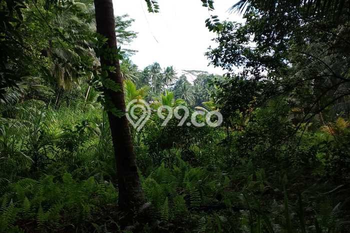 Untuk Dijual Tanah di Ciamis, Luas 1422m2 SHM Untuk Dijual Tanah di Ciamis, Luas 1422m2 SHM
