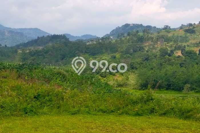 Kavling Tanah di Bogor Timur Dijual Luas 23000m2 Legalitas SHM Kavling Tanah di Bogor Timur Dijual Luas 23000m2 Legalitas SHM