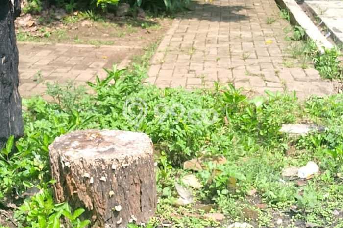 Tanah Dijual Area Strategis di Cipadu Tangerang 50m2 Tanah Dijual Area Strategis di Cipadu Tangerang 50m2