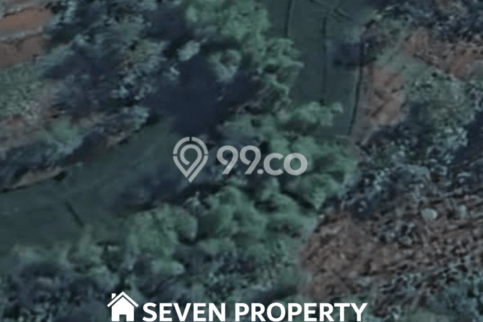 Lahan Investasi Lokasi Ngadirojo Wonogiri SHM Lahan Investasi Lokasi Ngadirojo Wonogiri SHM