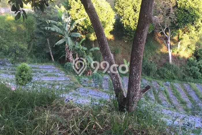 Tanah Kavling Dijual di Parongpong, Bandung dengan Luas Tanah 5350m2 Tanah Kavling Dijual di Parongpong, Bandung dengan Luas Tanah 5350m2