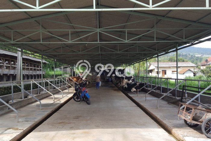 Lokasi Ideal! Vila Kawasan , Ukuran 10260m2m², Kualitas Prima Lokasi Ideal! Vila Kawasan , Ukuran 10260m2m², Kualitas Prima