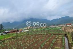 Lahan untuk Dijual di Ciwidey Bandung Luas 2200m2 Lahan untuk Dijual di Ciwidey Bandung Luas 2200m2