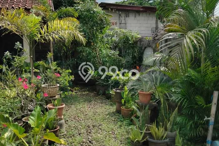 Rumah Luas Asri 4 KT Siap Huni di Sampangan Semarang Rumah Luas Asri 4 KT Siap Huni di Sampangan Semarang