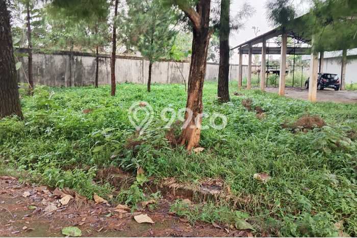 PRIME LOCATION! Gudang di Rumpin, Luas 1000m², Kawasan Komersial, Posisi Strategis PRIME LOCATION! Gudang di Rumpin, Luas 1000m², Kawasan Komersial, Posisi Strategis