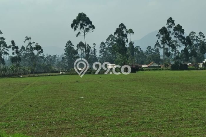 Lahan untuk Dijual Lokasi Pangalengan, Bandung Luas 35000m2 SHM Lahan untuk Dijual Lokasi Pangalengan, Bandung Luas 35000m2 SHM