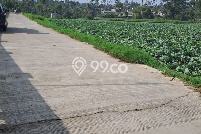 Lahan untuk Dijual Lokasi Pangalengan, Bandung Luas 35000m2 SHM Lahan untuk Dijual Lokasi Pangalengan, Bandung Luas 35000m2 SHM