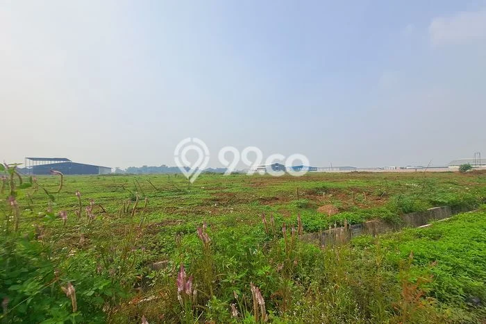 Tanah Kavling di Legok Dijual dengan Luas 5000m2 Tanah Kavling di Legok Dijual dengan Luas 5000m2
