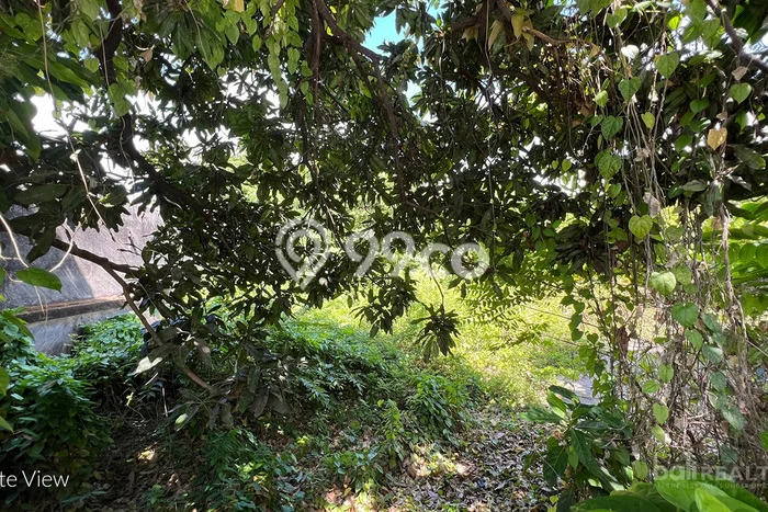 Tanah Dijual di Denpasar Seluas 815m2 Strategis Tanah Dijual di Denpasar Seluas 815m2 Strategis