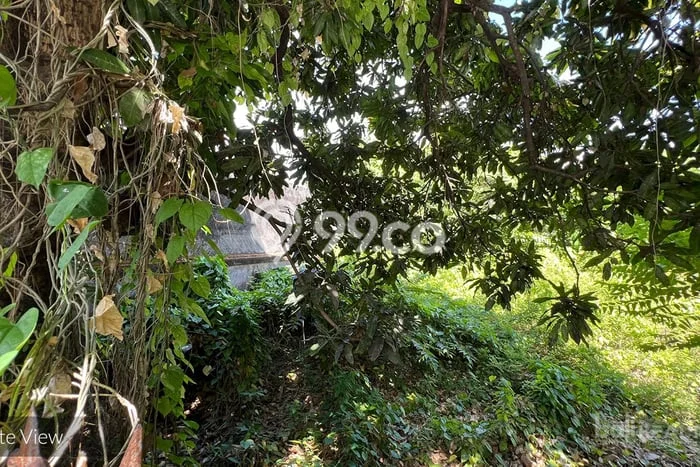Tanah Dijual di Denpasar Seluas 815m2 Strategis Tanah Dijual di Denpasar Seluas 815m2 Strategis