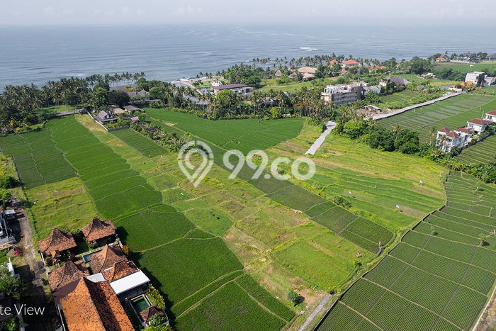 Kavling Tanah untuk Dijual di Canggu, Badung, Luas 10000m2 Kavling Tanah untuk Dijual di Canggu, Badung, Luas 10000m2