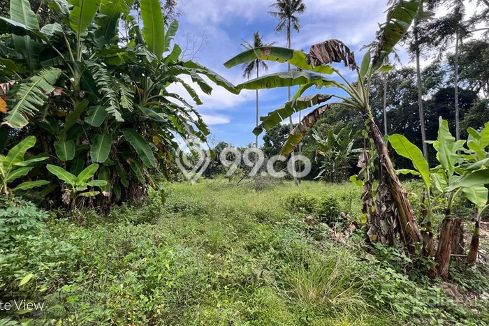 Tanah Strategis Dijual di Kerambitan Tabanan 5300m2 Tanah Strategis Dijual di Kerambitan Tabanan 5300m2