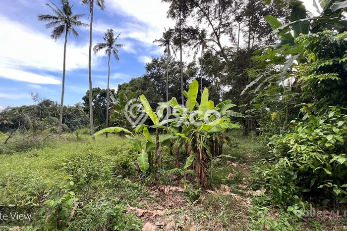 Tanah Strategis Dijual di Kerambitan Tabanan 5300m2 Tanah Strategis Dijual di Kerambitan Tabanan 5300m2