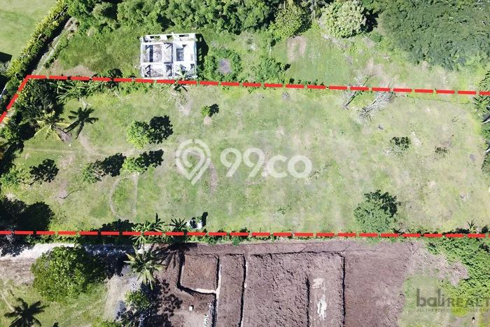 Tanah Kavling Dijual di Antosari, Tabanan dengan Luas Tanah 430000m2 Tanah Kavling Dijual di Antosari, Tabanan dengan Luas Tanah 430000m2