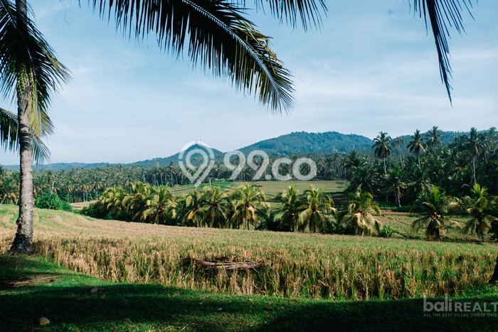 Tanah Dijual di Tabanan Seluas 9000m2 Strategis Tanah Dijual di Tabanan Seluas 9000m2 Strategis