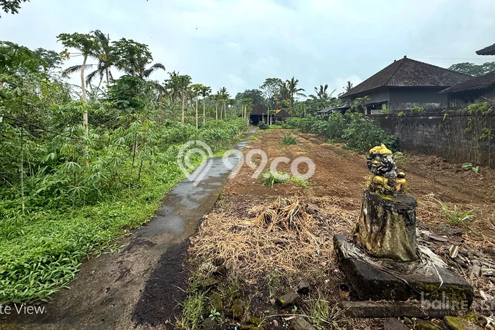 Kavling Tanah Dijual di Tabanan Tabanan Spesifikasi 1800m2 Kavling Tanah Dijual di Tabanan Tabanan Spesifikasi 1800m2