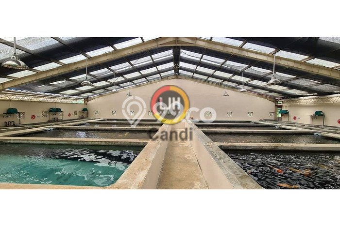 Komersial Komersial Dijual di Gunung Pati Semarang LT 2501m2 & LB 2303m2 Komersial Komersial Dijual di Gunung Pati Semarang LT 2501m2 & LB 2303m2