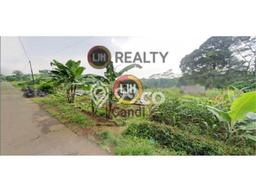 Lahan Investasi Lokasi Patean Kendal - Lahan Investasi Lokasi Patean Kendal -