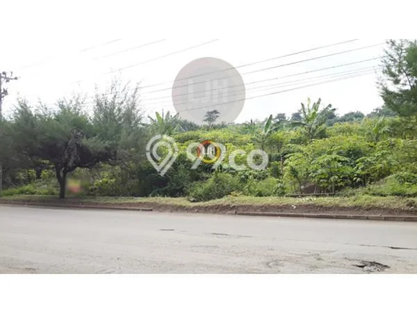Lahan Disewakan di Ngaliyan, Semarang, Luas 10200m2 - Lahan Disewakan di Ngaliyan, Semarang, Luas 10200m2 -
