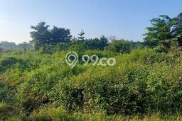 Lahan Kosong Dijual di Legok, Tangerang, Luas 70000m2 Area Strategis Lahan Kosong Dijual di Legok, Tangerang, Luas 70000m2 Area Strategis