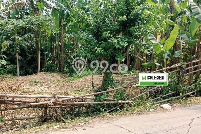 Tanah Disewa di Cukang Galih Strategis dan Memiliki Luas 500m2 Tanah Disewa di Cukang Galih Strategis dan Memiliki Luas 500m2