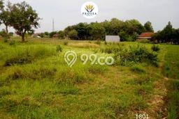 Kavling Tanah Dijual di Kedawung, Cirebon, Luas 550m2 Area Strategis Kavling Tanah Dijual di Kedawung, Cirebon, Luas 550m2 Area Strategis
