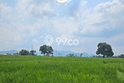 Kavling Tanah di Sumber Dijual Luas 3880m2 Legalitas AJB Kavling Tanah di Sumber Dijual Luas 3880m2 Legalitas AJB