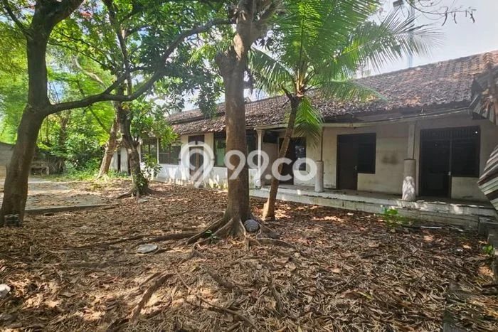 For Rent Tanah Strategis Kawasan Petitenget, Luas 700m², Dekat ke Petitenget, Badung, Badung For Rent Tanah Strategis Kawasan Petitenget, Luas 700m², Dekat ke Petitenget, Badung, Badung