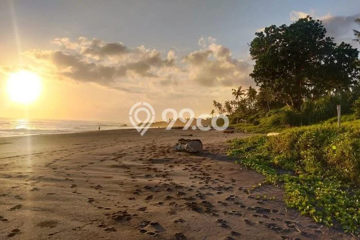 Tanah Dijual Lokasi Strategis di Tabanan dengan Luas 84000m2 Tanah Dijual Lokasi Strategis di Tabanan dengan Luas 84000m2