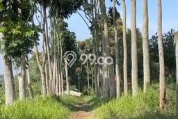 Tanah Kavling Dijual di Bandung dengan Spesifikasi 11000m2 Tanah Kavling Dijual di Bandung dengan Spesifikasi 11000m2