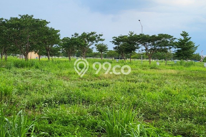 Jarang Ada! Tanah di Penjaringan Punya Luas 1500m2 PPJB Jarang Ada! Tanah di Penjaringan Punya Luas 1500m2 PPJB