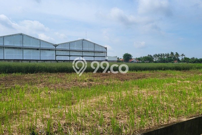 Tanah Kavling Dijual di Tangerang dengan Spesifikasi 930m2 Tanah Kavling Dijual di Tangerang dengan Spesifikasi 930m2