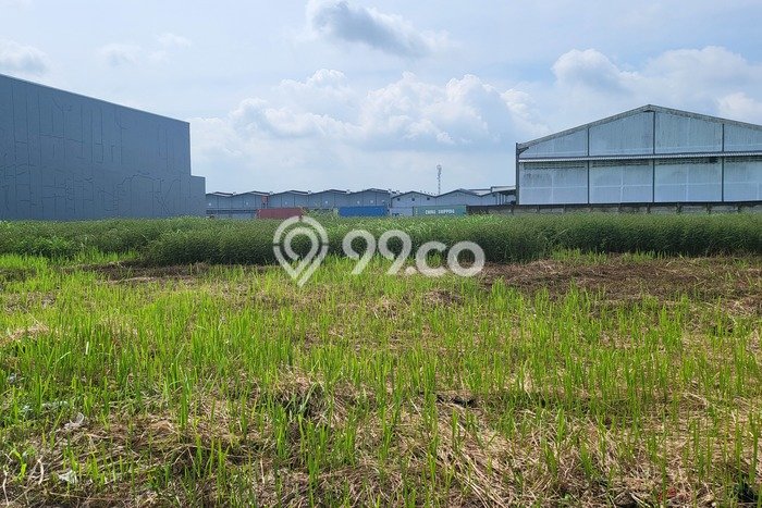 Tanah Kavling Dijual di Tangerang dengan Spesifikasi 930m2 Tanah Kavling Dijual di Tangerang dengan Spesifikasi 930m2