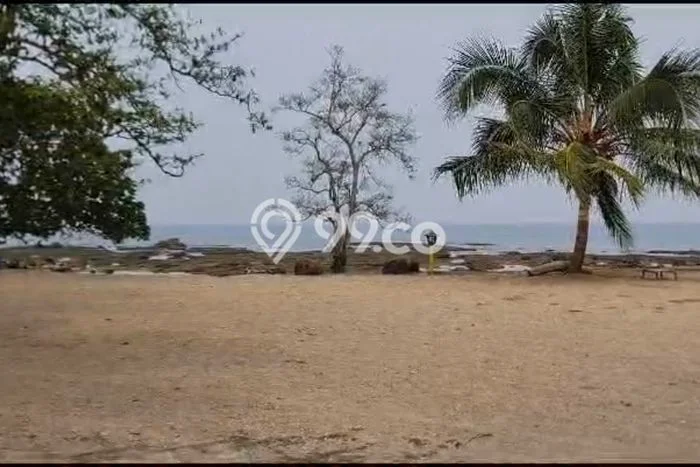 Lahan Kosong Dijual di Pandeglang dengan Area 100000m2 Lahan Kosong Dijual di Pandeglang dengan Area 100000m2
