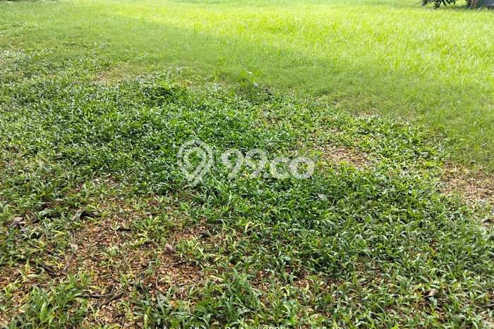 Lahan Kosong Dijual di Penjaringan, Jakarta Utara, Luas 473m2 Area Strategis Lahan Kosong Dijual di Penjaringan, Jakarta Utara, Luas 473m2 Area Strategis