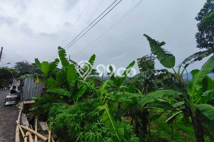 Kavling Tanah Dijual di Banyumanik Semarang Spesifikasi 723m2 Kavling Tanah Dijual di Banyumanik Semarang Spesifikasi 723m2
