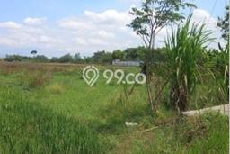 Tanah Kavling di Klaten Tengah Dijual dengan Luas 4870m2 Tanah Kavling di Klaten Tengah Dijual dengan Luas 4870m2