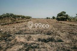 Tanah Dijual di Kendal Seluas 185976m2 Strategis Tanah Dijual di Kendal Seluas 185976m2 Strategis