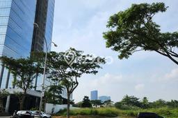 Tanah Kavling Dijual di Alam Sutera, Tangerang dengan Luas Tanah 6000m2 Tanah Kavling Dijual di Alam Sutera, Tangerang dengan Luas Tanah 6000m2