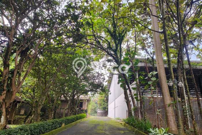 Kavling Tanah Dijual di Bogor Selatan Bogor Spesifikasi 9616m2 Kavling Tanah Dijual di Bogor Selatan Bogor Spesifikasi 9616m2