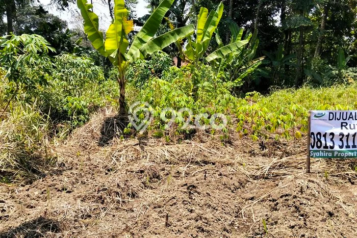 Tanah Komersial Dijual di Ciomas Bogor 300m2 Tanah Komersial Dijual di Ciomas Bogor 300m2