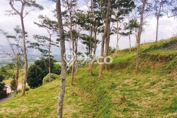 Tanah Dijual di Bogor Seluas 9987m2 Strategis Tanah Dijual di Bogor Seluas 9987m2 Strategis