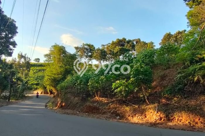 Untuk Dijual Tanah 2000m2 di Sentul City, Bogor Untuk Dijual Tanah 2000m2 di Sentul City, Bogor