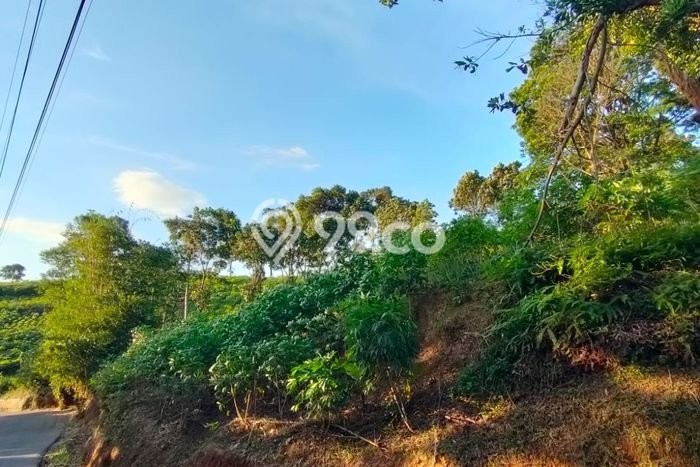 Untuk Dijual Tanah 2000m2 di Sentul City, Bogor Untuk Dijual Tanah 2000m2 di Sentul City, Bogor
