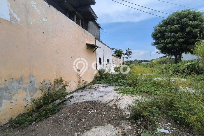 Tanah Dijual Lokasi Menganti, Gresik Luas 26000m2 Legalitas Aman Tanah Dijual Lokasi Menganti, Gresik Luas 26000m2 Legalitas Aman