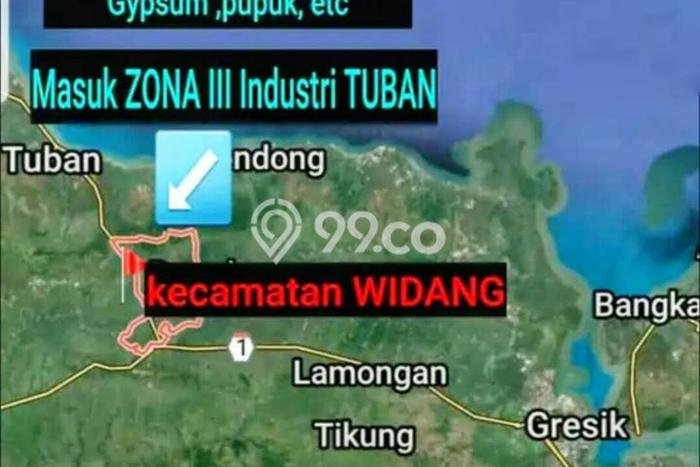 Tanah di Widang, Tuban Luas 40000m2 Dijual Segera Tanah di Widang, Tuban Luas 40000m2 Dijual Segera