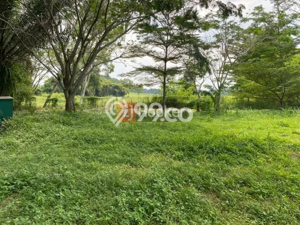 Lahan untuk Dijual di Sawangan Depok Luas 550m2 Lahan untuk Dijual di Sawangan Depok Luas 550m2
