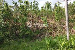 Tanah untuk Dijual di Banjar Banjar Luas 10007m2 Tanah untuk Dijual di Banjar Banjar Luas 10007m2