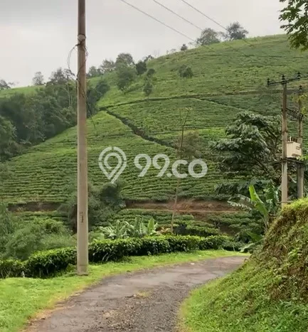 Dijual Tanah 393000m2 di Majalengka Kota, Majalengka Dijual Tanah 393000m2 di Majalengka Kota, Majalengka